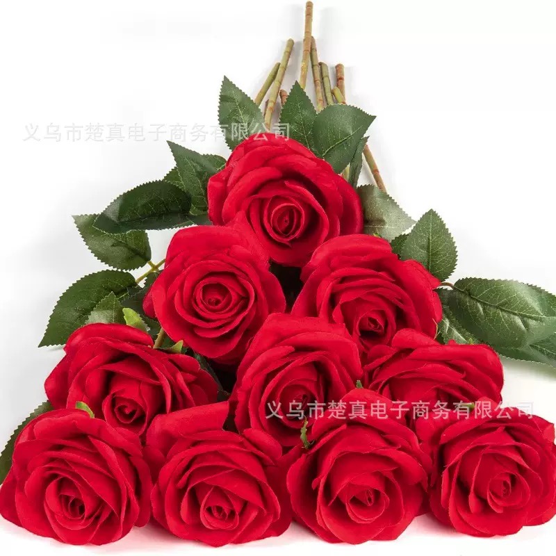 Rose Stem